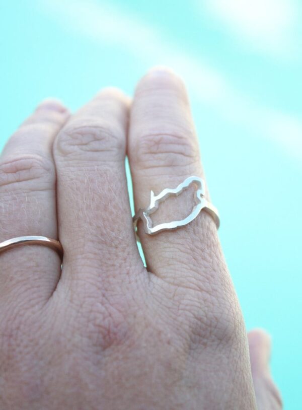 South Africa outline ring