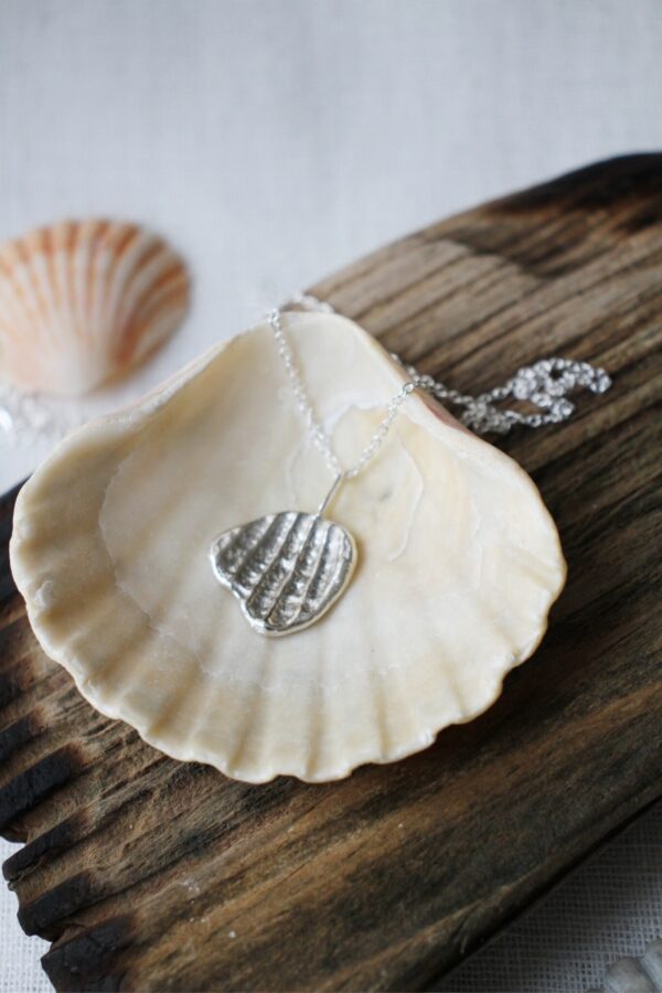 Shell charm - medium