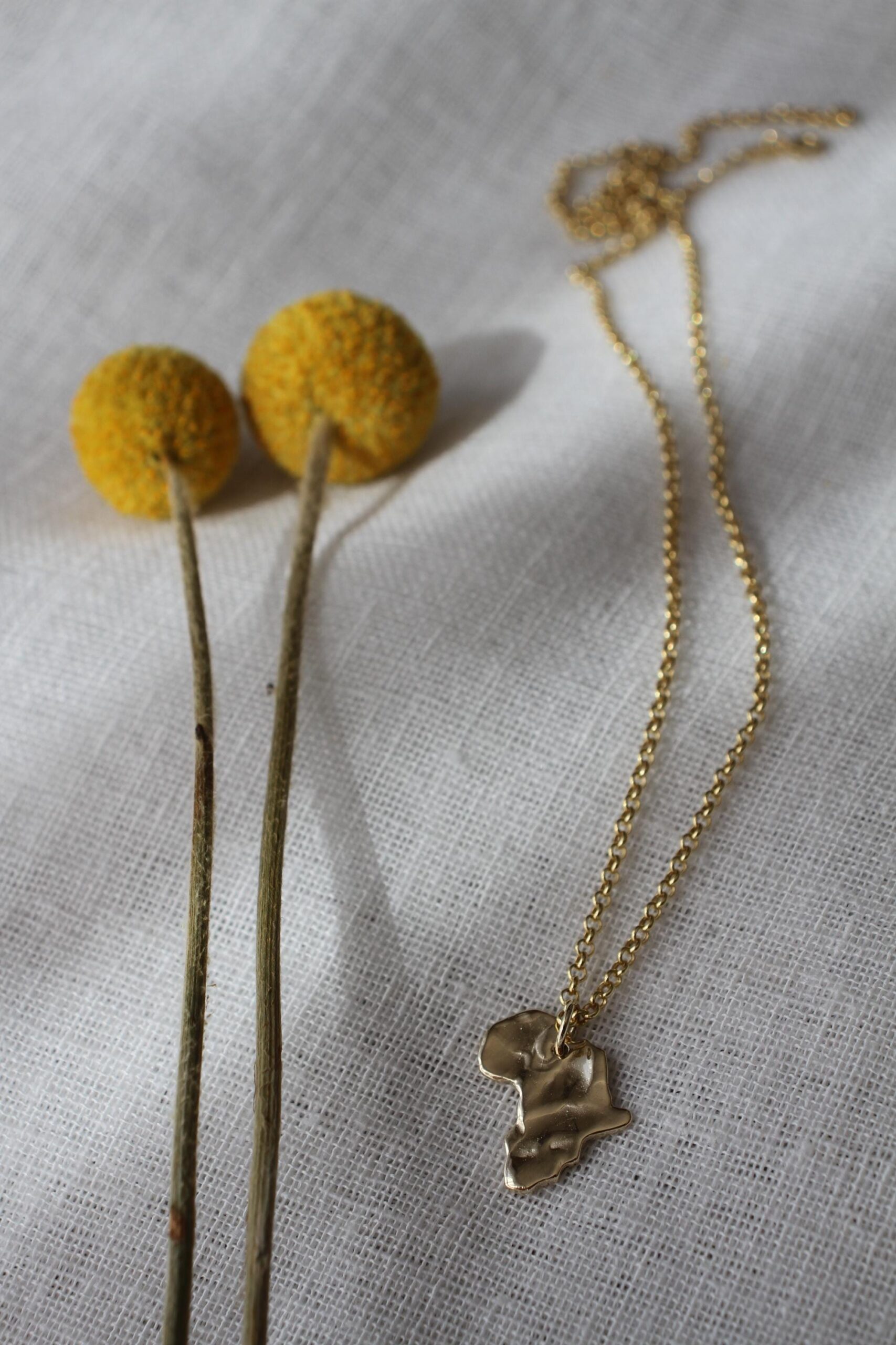 Africa Pendant - textured gold - Image 6