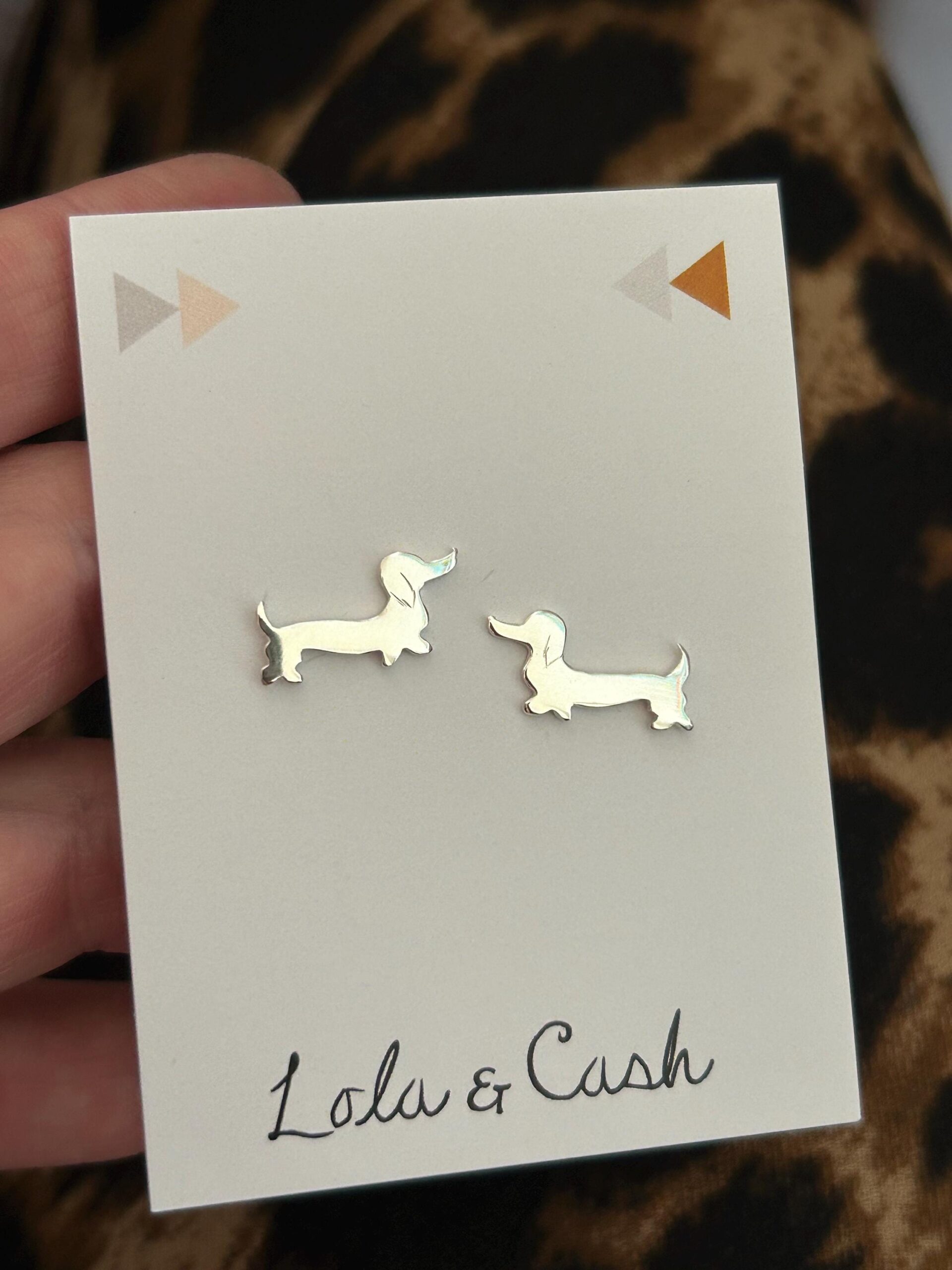 Dachshund studs - Image 5