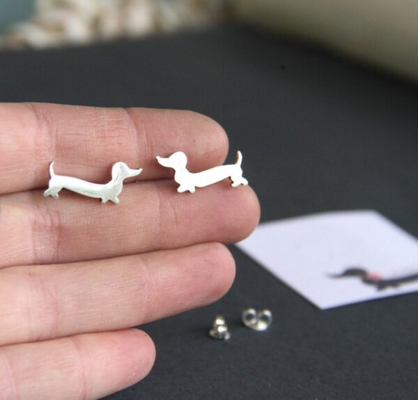 Dachshund studs