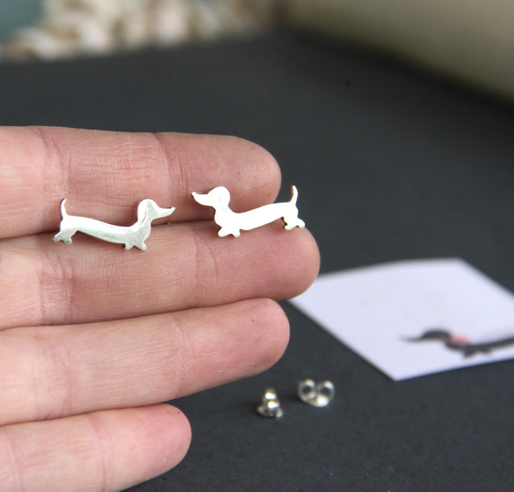 Dachshund studs