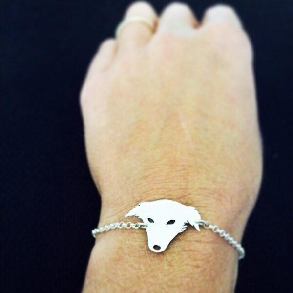 Pet bracelet